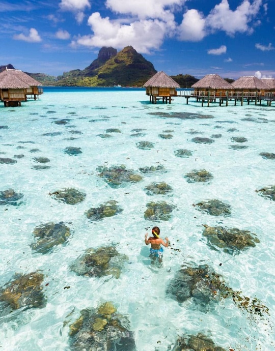 BORA BORA