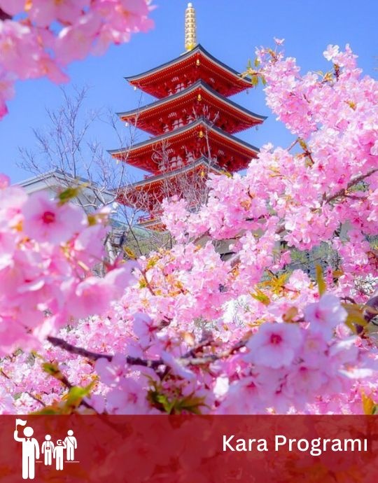 Sakura Dönemi Japonya - Tüm Turlar Dahil