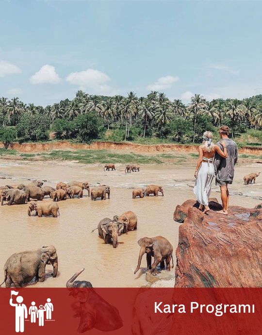 Elegant Sri Lanka